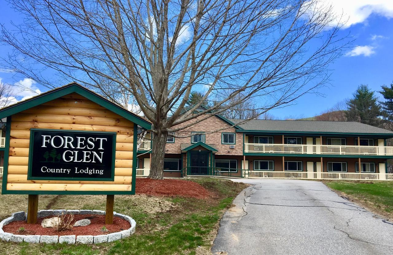 Forest Glen Inn North Conway Dış mekan fotoğraf